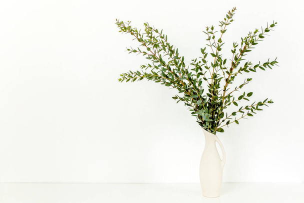 Branches of eucalyptus in vase on table on light background. Home decor. Blog, website or social media concept - Fotoğraf, Görsel