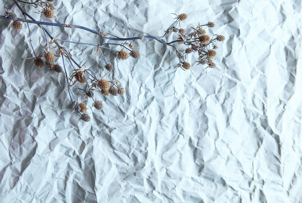 сушеные цветы лежат на сером бумажном фоне - Фото, изображение