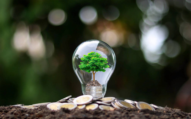 Cultiver des arbres verts sur l'argent dans des ampoules à faible consommation d'énergie lumière avec l'idée de la croissance économique et la journée mondiale de l'environnement. - Photo, image