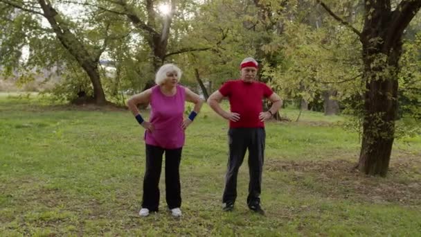 Active senior couple doing morning stretching physical exercises in park. Fitness family leisure - Footage, Video