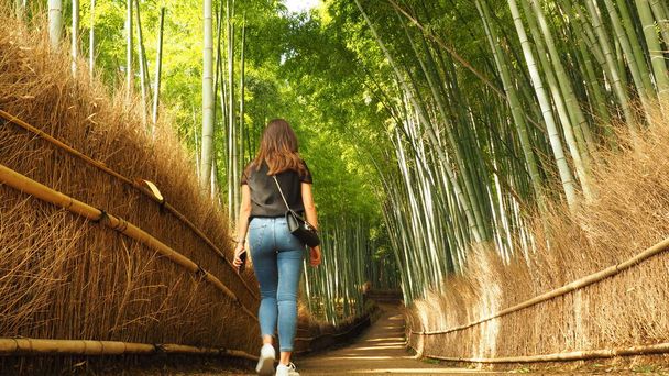 Inside the Arashiyama Bamboo Grove park of Japan, a paved path, with sides of straw and wood, guides this visitor into the forest and under a canopy of tall bamboo trees. - Foto, Bild