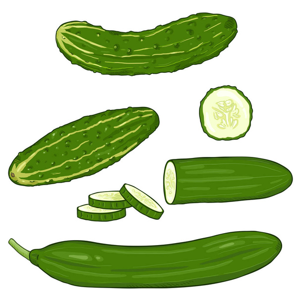 Vector Set of Cartoon Cucumbers. Whole and Sliced. - ベクター画像