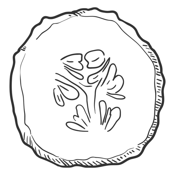 Vector Sketch Round Slice of Cucumber - Vettoriali, immagini