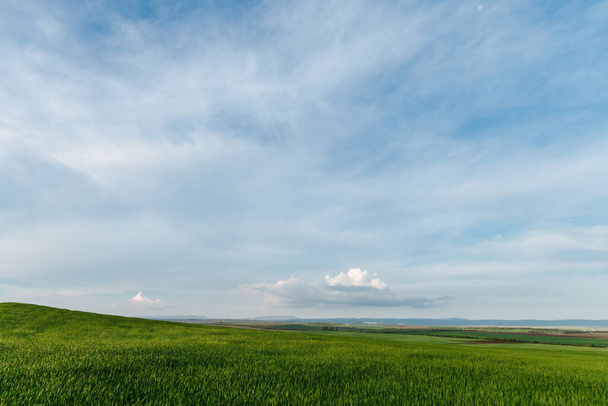 Πράσινο πεδίο και ουρανός με σύννεφα, γρασίδι την άνοιξη φόντο, καλλιέργεια γεωργικών δημητριακών - Φωτογραφία, εικόνα