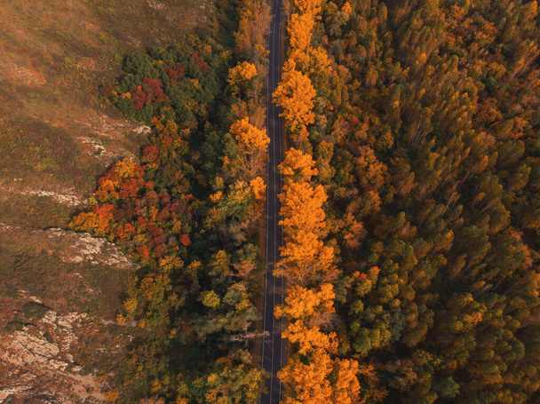 Вид с воздуха на дорогу в красивом осеннем Алтайском лесу - Фото, изображение