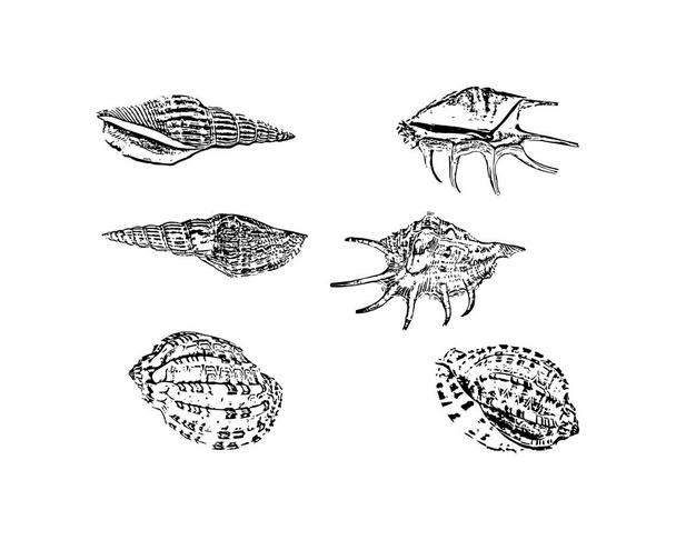 Kritzeln Schalentiere Symbole isoliert auf weiß. Handzeichnung Skizze, Vektor Stock Illustration. EPS 10 - Vektor, Bild