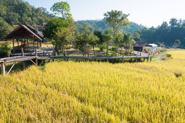Pai, Thailand - Prachtig panoramisch uitzicht vanaf Pai Bamboo Bridge (Boon Ko Ku So) in Pai, Mae Hong Son Province, Thailand. - Foto, afbeelding