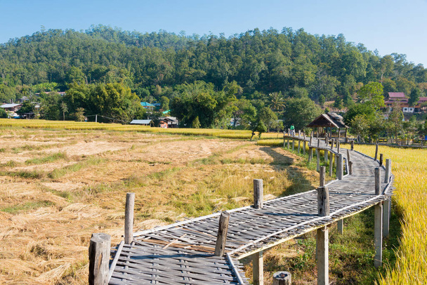 Pai, Tailândia - Ponte Pai Bambu (Boon Ko Ku So) em Pai, Província Mae Hong Son, Tailândia. - Foto, Imagem
