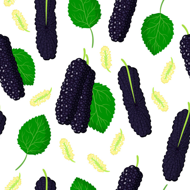 Patrón sin costuras de dibujos animados vectoriales con Morus macroura Pakistaní o híbrido negro morera frutas exóticas, flores y hojas sobre fondo blanco para tela, impresión, textura de tela o papel pintado - Vector, Imagen
