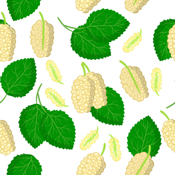 Διάνυσμα καρτούν αδιάλειπτη μοτίβο με Morus alba ή μούρα εξωτικά φρούτα, λουλούδια και φύλλα σε λευκό φόντο για το διαδίκτυο, εκτύπωση, υφασμάτινη υφή ή ταπετσαρία - Διάνυσμα, εικόνα