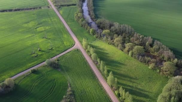 Prachtig voorjaarslandschap met rivier, grindweg en velden, uitzicht vanuit de lucht - Video