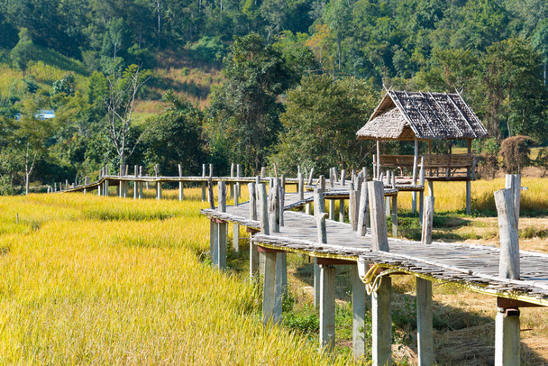 Pai, Thailand - Prachtig panoramisch uitzicht vanaf Pai Bamboo Bridge (Boon Ko Ku So) in Pai, Mae Hong Son Province, Thailand. - Foto, afbeelding