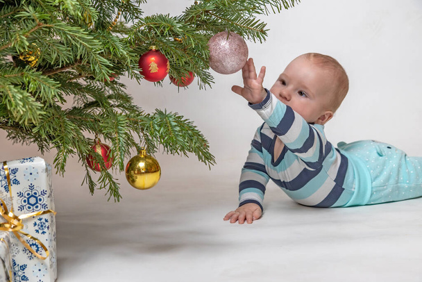 Little toddler boy is touching a Christmas Ball lying under the Christmas tree. All is on the white background - Fotoğraf, Görsel