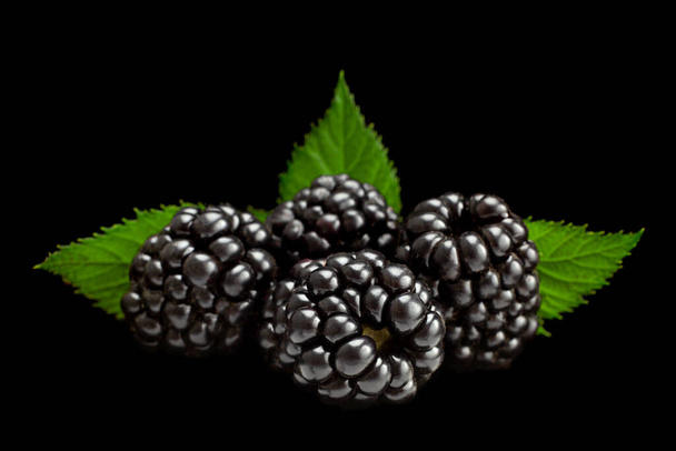 Blackberry bes met blad geïsoleerd op zwarte achtergrond - Foto, afbeelding
