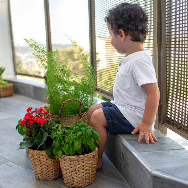 Pequeño niño cuidando plantas en el balcón. - Foto, Imagen