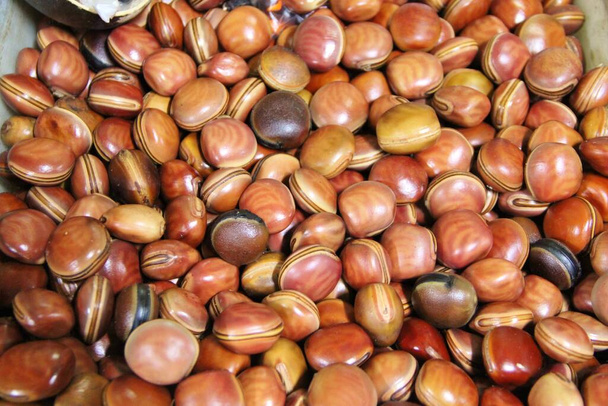 Detailní pohled na hnědé fazole, monochromatické pozadí - Fotografie, Obrázek