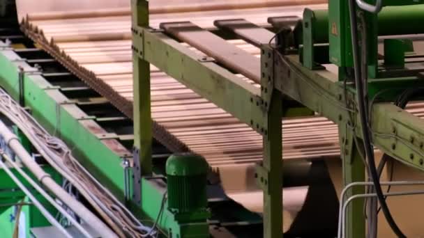 Enterprise for the production of cardboard containers . Closeup image of pleat cardboard row at factory background. Manufacture of cardboard boxes. - Footage, Video