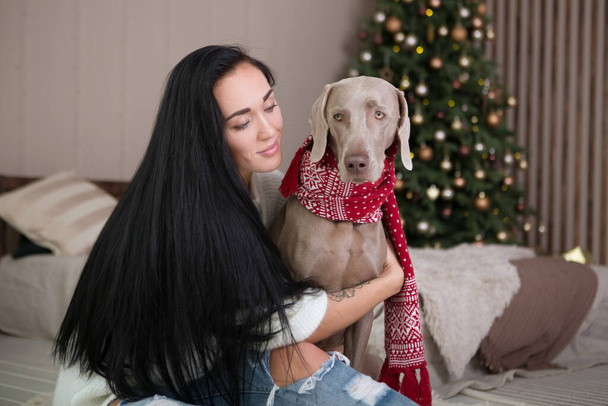Happy young woman  with dog weimaraner are waiting for the New Year at home - Photo, Image