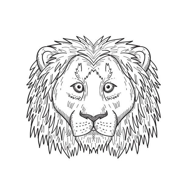 Dessin noir et blanc illustration de style croquis d'une tête de lion lâche, lâche ou effrayé avec crinière vue de face sur fond isolé. - Vecteur, image