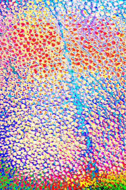 Espuma de poliestireno close-up. Lotes de pequenas e grandes bolhas de isopor textura fundo. - Foto, Imagem