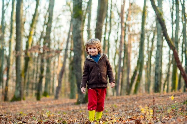 Little boy in leaves in autumn clothing. Happy kid having fun in autumn park on warm day. - Foto, immagini