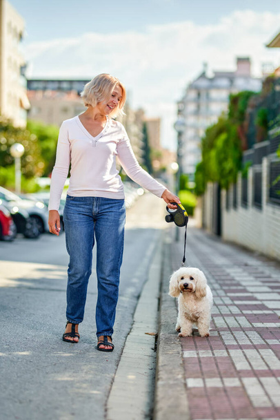 Dışarıda köpeğiyle yürüyen bir kadın. - Fotoğraf, Görsel