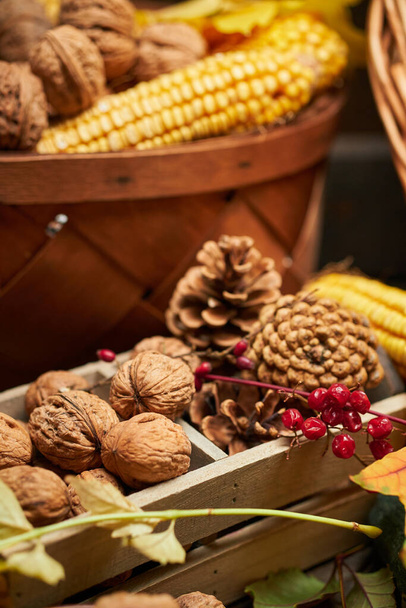 nature morte d'automne dans un style rustique comme fond - feuilles, légumes et fruits, noix et autres ingrédients alimentaires naturels sur des planches de bois - Photo, image