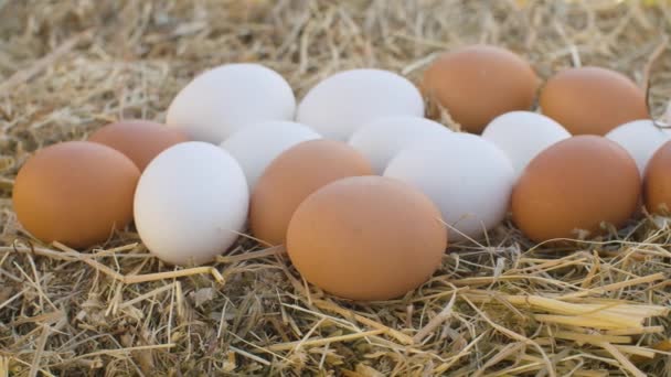 Uova di pollo su fieno fresco - Filmati, video