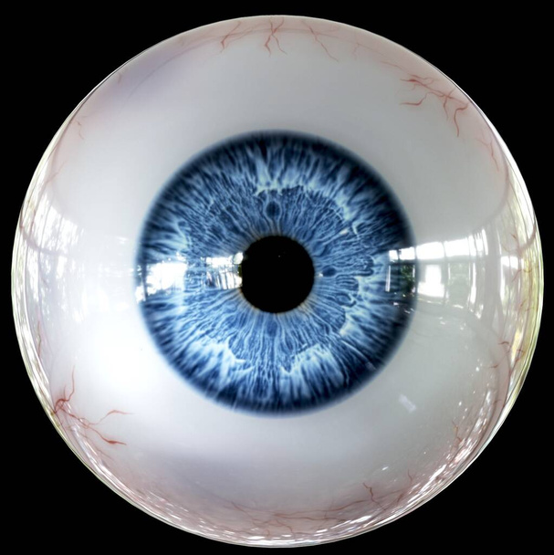 Szekrény gyönyörű emberi fényes kék Eye Ball, elszigetelt fekete háttér - Fotó, kép