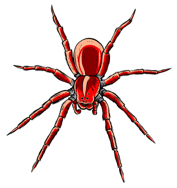 Punainen takaisin hämähäkki, kuvitus ja yksinkertainen muotoilu. - Vektori, kuva