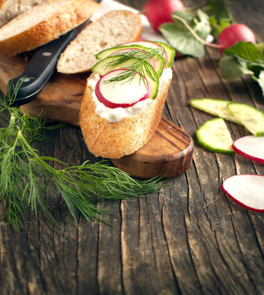 Fresh bread with Cottage cheese, radish and cucumber - Foto, Imagen