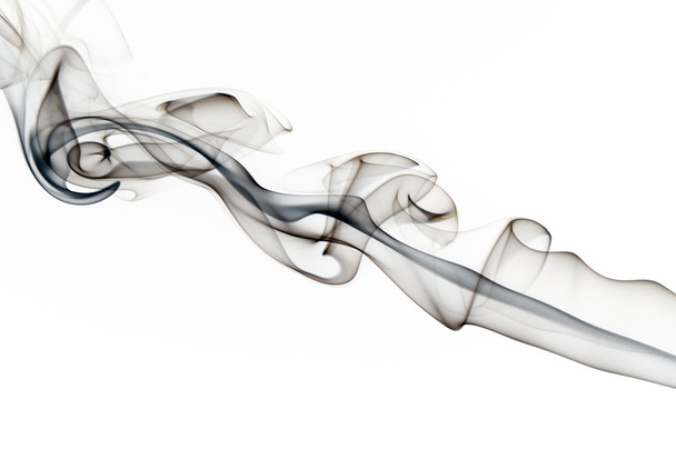 witte rook - Foto, afbeelding