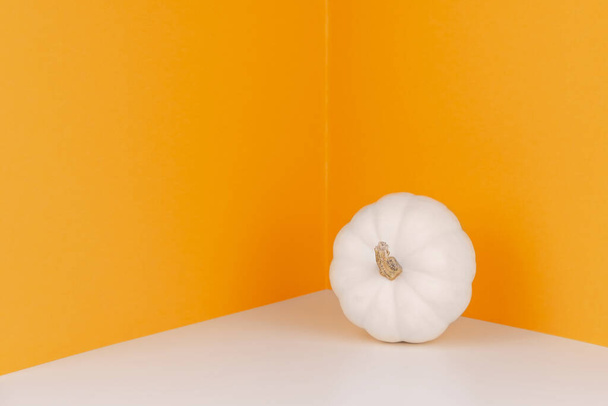 Valkoinen kurpitsa oranssilla taustalla. Minimalistinen käsite. Halloween-tausta. Tekstiavaruus. Syksyn myyntiidea - Valokuva, kuva