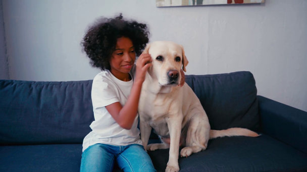 Africano americano chica abrazando y acariciando perro mientras sentado en sofá en casa - Metraje, vídeo