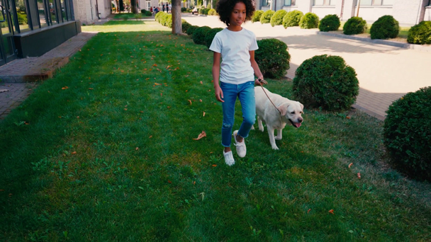 Afrikkalainen amerikkalainen tyttö kävelee koiran kanssa pitkin vihreää nurmikkoa - Materiaali, video
