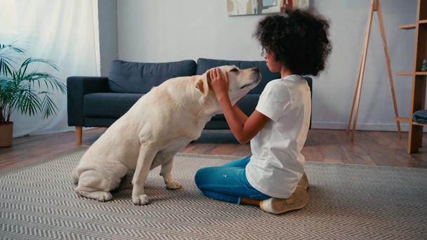 Side view of african american girl stroking labrador while sitting on carpet - Footage, Video