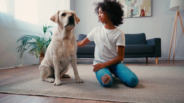 glimlachend afrikaans amerikaans meisje strelen hond terwijl zitten op tapijt thuis - Video