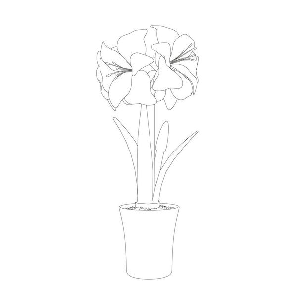 Contour of Hippeastrum in a pot made of black lines isolated on white background. Side view. Vector illustration - Vektör, Görsel