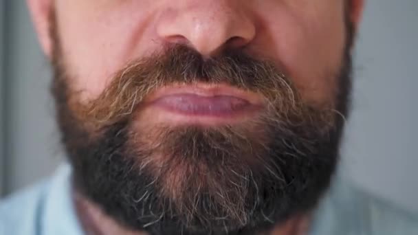 髭を生やした男が泡ガムを噛んだ。男はガムの泡を吹いて - 映像、動画