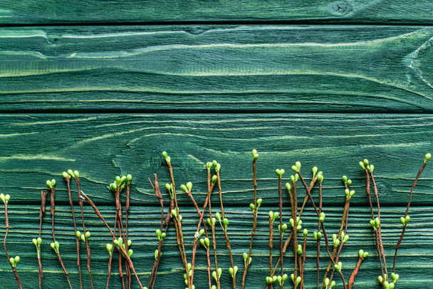 top view of wooden green background with blossoming branches  - Photo, Image