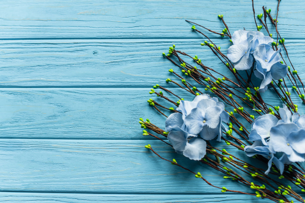 top view of wooden blue background with blossoming branches and flowers - Photo, Image