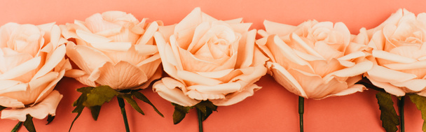 top view of roses border on coral background, panoramic shot - Foto, immagini
