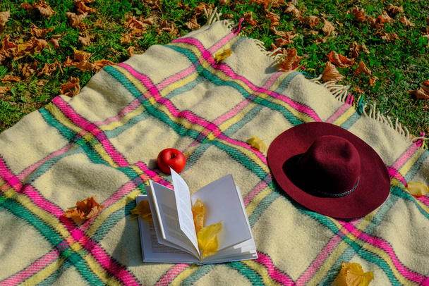 Fall/autumn picnic on grass. Checkered blanket with fringes, red fedora, apple, and open book covered with yellow fallen leaves. Copy space - Photo, Image