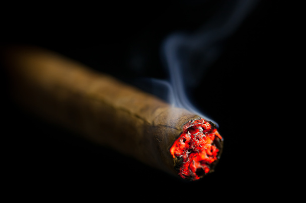 burning cigar - Photo, Image