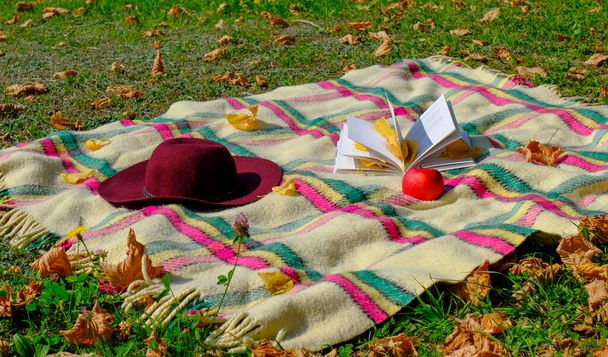Fall/autumn picnic on grass. Relax in park, reading concept. Checkered blanket with fringes, felt hat, apple, and open book covered with yellow fallen leaves. Copy space - Photo, Image