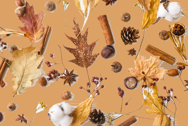 Hello Autumn. Fall leaves, berries, acorns, walnuts, cinnamon, anise , cotton and pine cones on awkwardly painted brown background. Creative modern Autumnal greeting card - Photo, Image