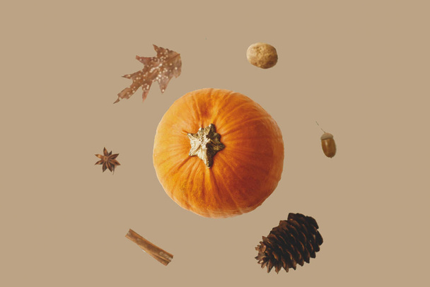 Hallo Herfst. Pompoen, herfstblad, anijs, dennenappel, eikel, walnoot en kaneelstokje op onhandig beschilderde bruine ondergrond. Creatieve moderne herfstwenskaart - Foto, afbeelding