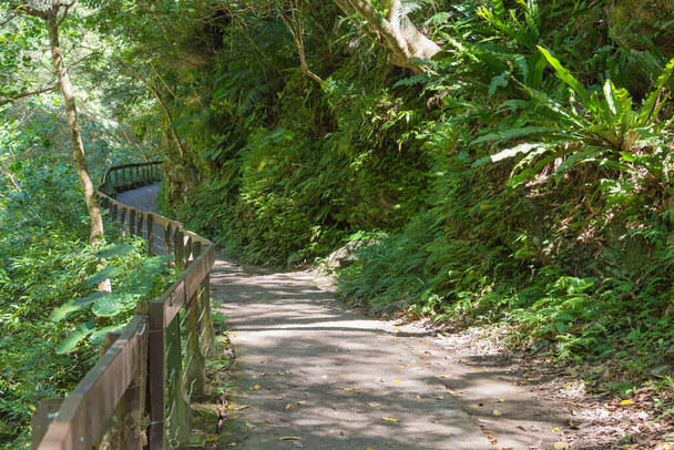 Hualien, Taiwan - Shakadang Trail (Mysterious Valley Trail) Tarokon kansallispuistossa. kuuluisa turisti paikalla Xiulin, Hualien, Taiwan. - Valokuva, kuva