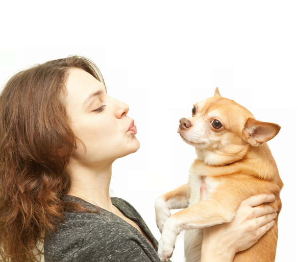 beautiful young woman with chihuahua dog isolated - Фото, изображение