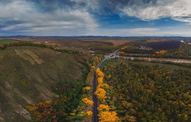 美しい秋の道路の空中ビュー｜アルタイの森 - 写真・画像
